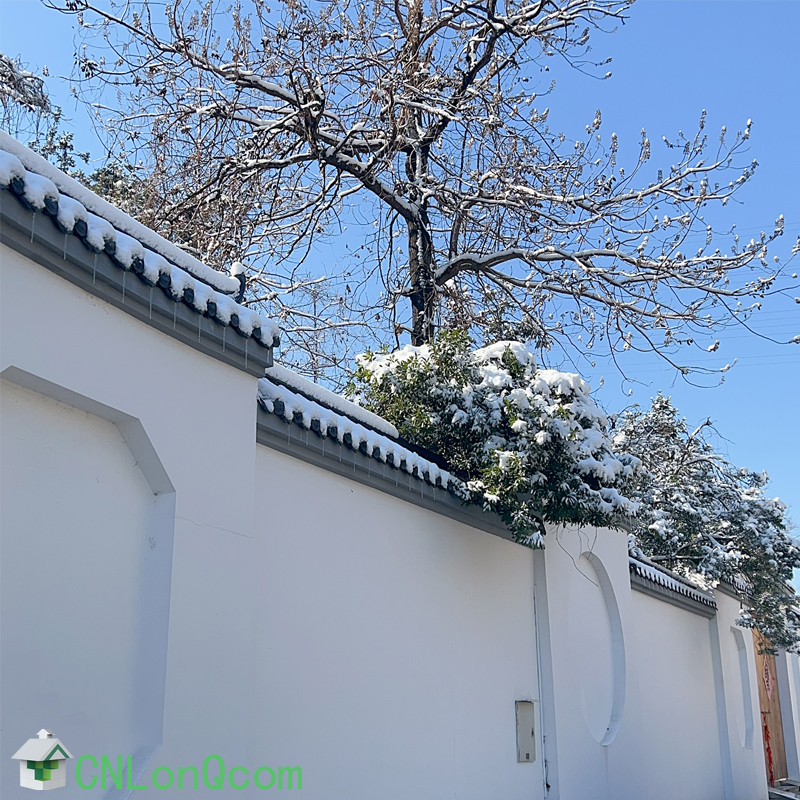 Wenzhou experimentó una nevada poco común, CNLonQcom organizó una actividad de trabajo en equipo para disfrutar de la nieve