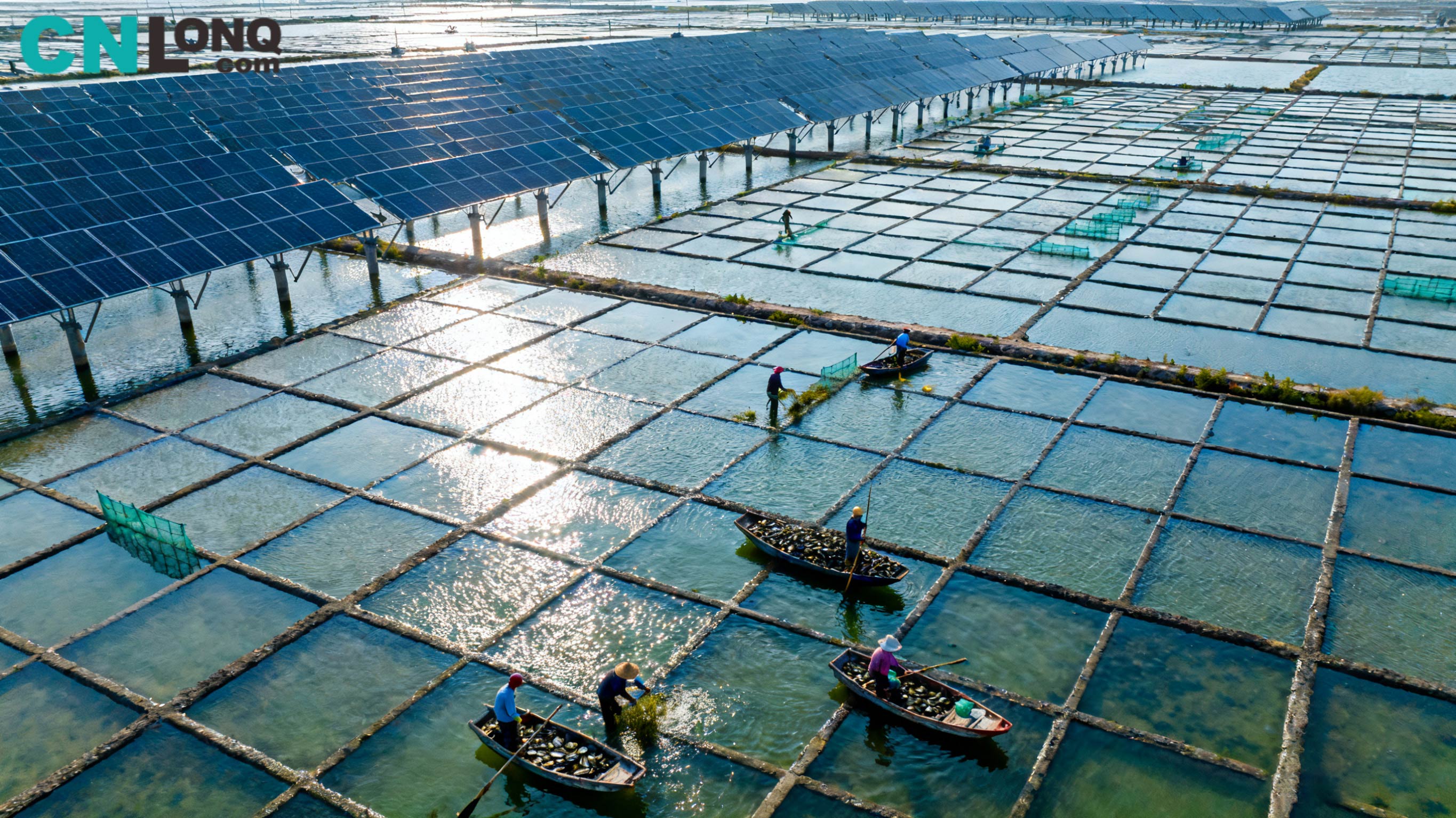 ¡Inversión total de 1.200 millones de RMB! Comienza el proyecto 